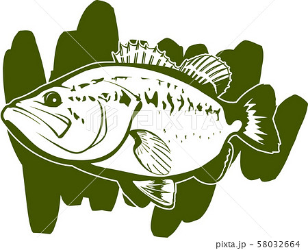 単色ブラックバス 58032664