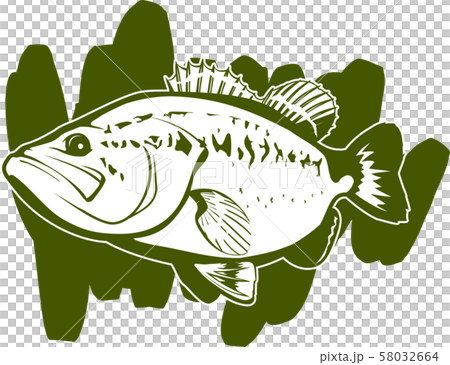 単色ブラックバス 58032664