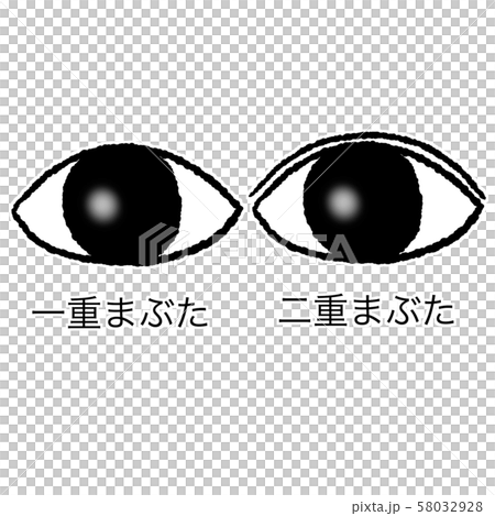 まぶたのイラスト素材