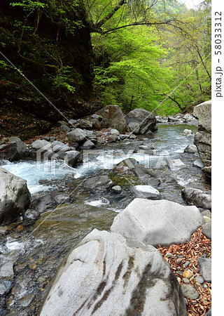 スッカン沢 スッカン沢 58033312