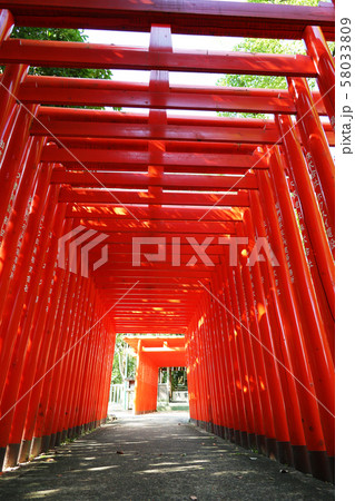愛知県 瀬戸市 深川神社 愛知県 瀬戸市 深川神社 58033809