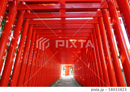 愛知県　瀬戸市　深川神社 58033823