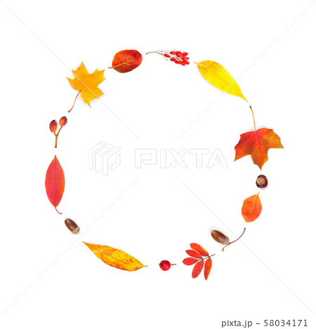 Colorful fall leaves ring shape composition. 58034171