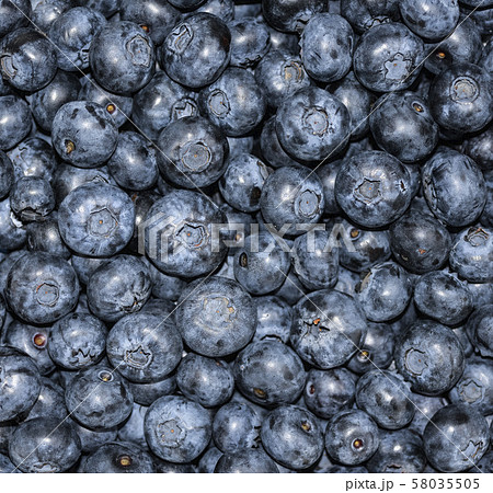 Heap of blueberry close up backgraund. Heap of blueberry close up backgraund. 58035505
