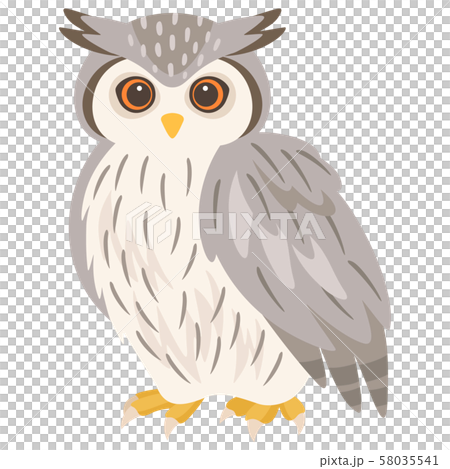 Owl Illustration African Giant Owl Stock Illustration