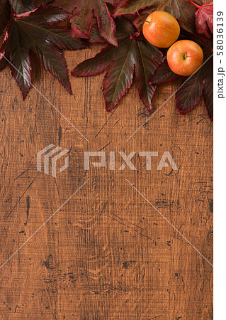 秋イメージ背景 秋イメージ背景 58036139