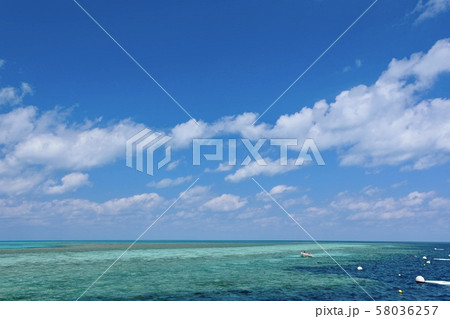 オーストラリア・ハミルトン島 オーストラリア・ハミルトン島 58036257