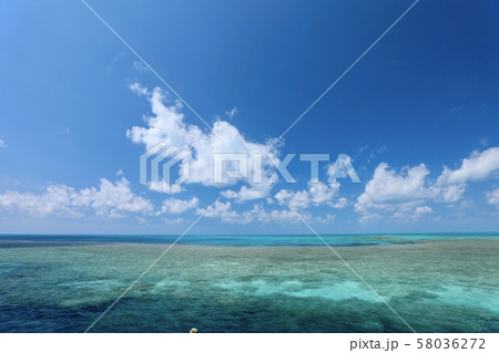 オーストラリア・ハミルトン島 オーストラリア・ハミルトン島 58036272