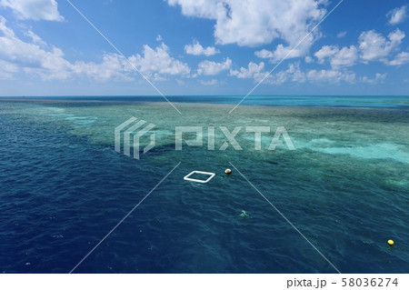 オーストラリア・ハミルトン島 オーストラリア・ハミルトン島 58036274
