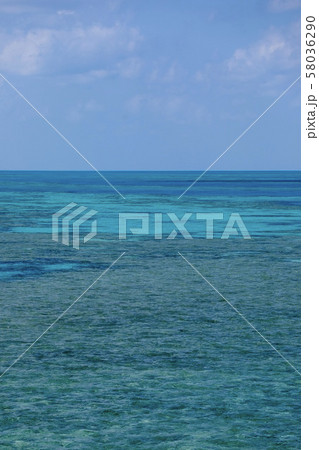 オーストラリア・ハミルトン島 オーストラリア・ハミルトン島 58036290