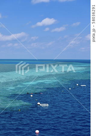 オーストラリア・ハミルトン島 オーストラリア・ハミルトン島 58036291