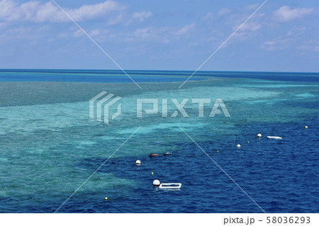 オーストラリア・ハミルトン島 オーストラリア・ハミルトン島 58036293