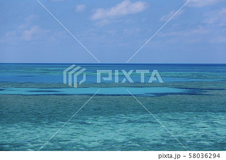 オーストラリア・ハミルトン島 オーストラリア・ハミルトン島 58036294