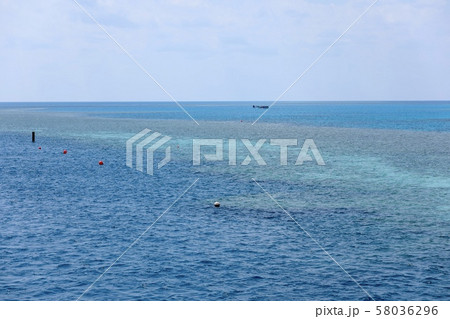 オーストラリア・ハミルトン島 オーストラリア・ハミルトン島 58036296