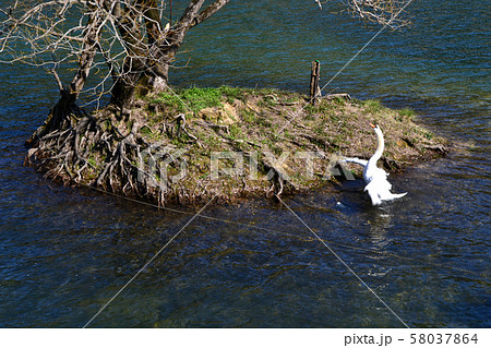 佐賀 武雄温泉保養村 池の内湖 佐賀 武雄温泉保養村 池の内湖 58037864