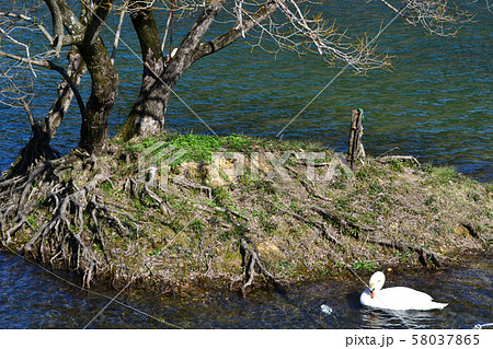 佐賀 武雄温泉保養村 池の内湖 佐賀 武雄温泉保養村 池の内湖 58037865