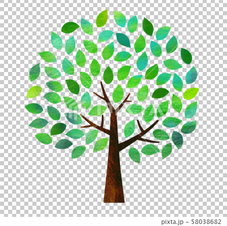 Green leaf tree texture (watercolor pencil) 58038682