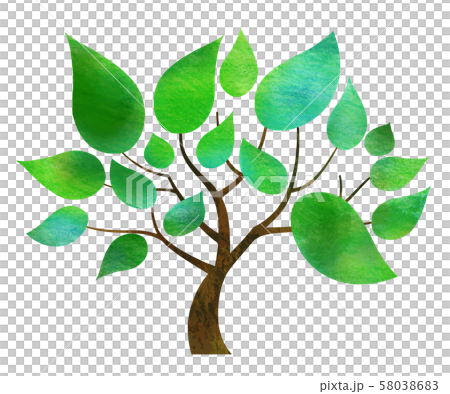 Green leaf tree texture (watercolor pencil) 58038683