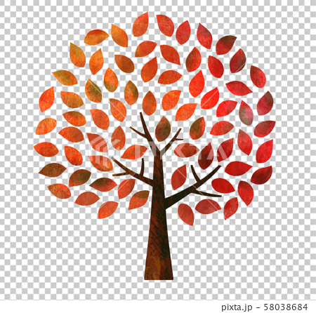 가을 단풍 나무 질감 (수채화 색연필) - 스톡일러스트 [58038684] - Pixta