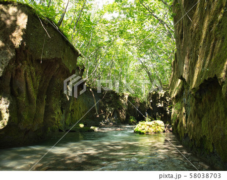 樽前ガロー 樽前ガロー 58038703