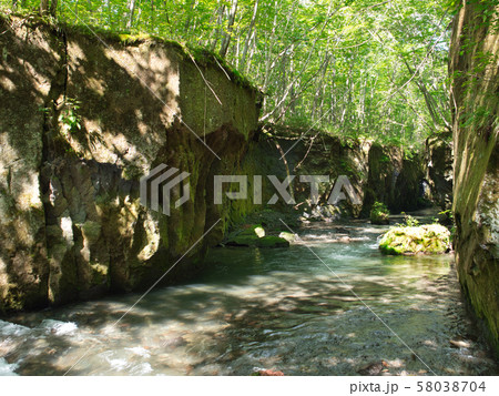 樽前ガロー 樽前ガロー 58038704