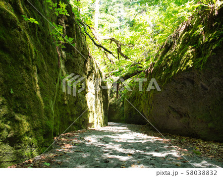 苔の回廊 58038832