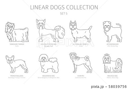 Simple line dogs collection isolated on white. Dog 58039756