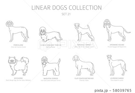 Simple line dogs collection isolated on white. Dog 58039765