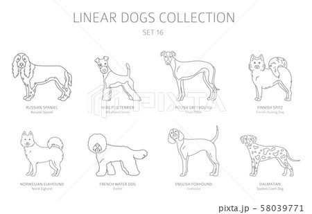 Simple line dogs collection isolated on white. Dog Simple line dogs collection isolated on white. Dog 58039771