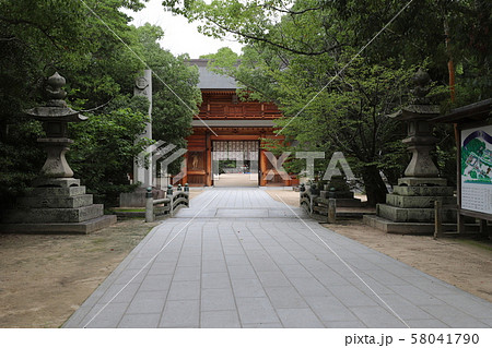 伊予國一宮 大山祇神社 伊予國一宮 大山祇神社 58041790