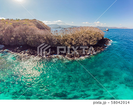 Couple snorkeling in the blue sea ocean and coral background aerial top view Couple snorkeling in the blue sea ocean and coral background aerial top view 58042014