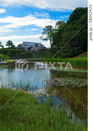 金沢城　河北門と湿生園 58042472