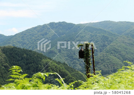 山奥に立つつる草が絡まる古い半鐘 山奥に立つつる草が絡まる古い半鐘 58045268