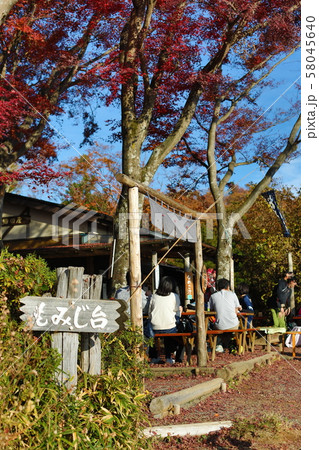 高尾山　登山道　もみじ台　茶屋 58045640