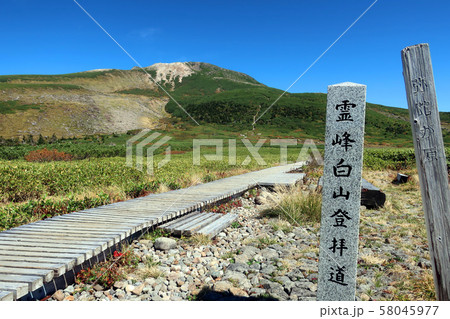 白山の弥陀ヶ原から望む霊峰・御前峰 白山の弥陀ヶ原から望む霊峰・御前峰 58045977