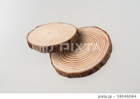 top view of wood piece with annual ring on white top view of wood piece with annual ring on white 58046064