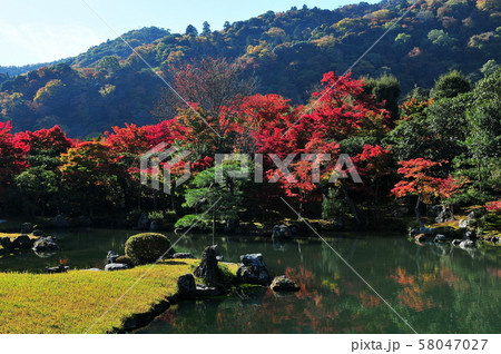 京都・嵐山天龍寺の紅葉 京都・嵐山天龍寺の紅葉 58047027