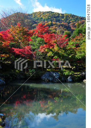 京都・嵐山天龍寺の紅葉 58047028