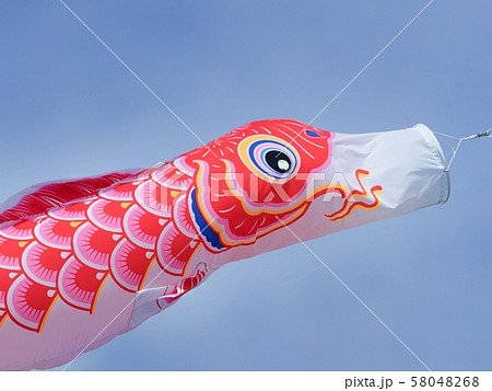 こいのぼり こいのぼり 58048268