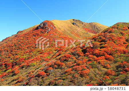 秋の星生山(くじゅう連山) 秋の星生山(くじゅう連山) 58048731