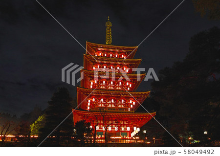 東京都 高幡不動 もみじ灯路 もみじ灯籠 イベント時の五重塔の写真素材