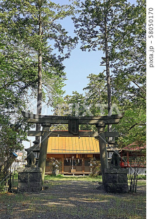 柳原神社 柳原神社 58050170