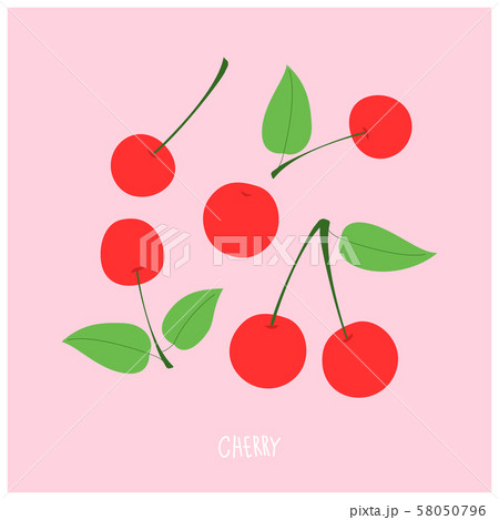 フルーツ 果物 チェリー 58050796