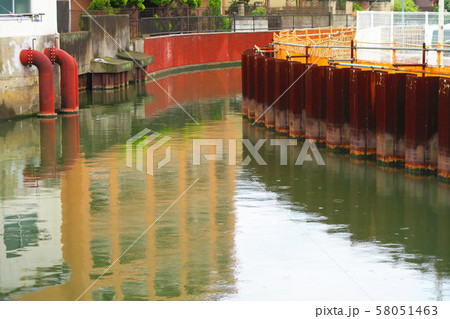 千葉県浦安市猫実付近の境川の風景 千葉県浦安市猫実付近の境川の風景 58051463