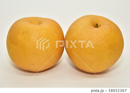 梨・新甘泉 58052367