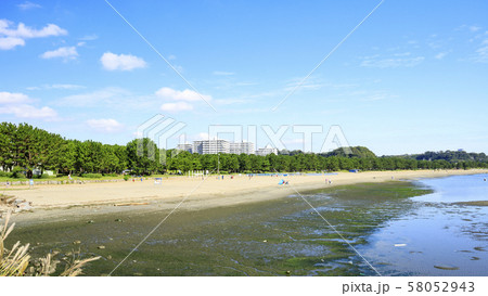 海の公園（秋） 58052943