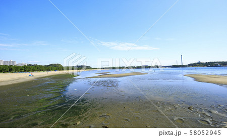 海の公園(秋) 海の公園(秋) 58052945