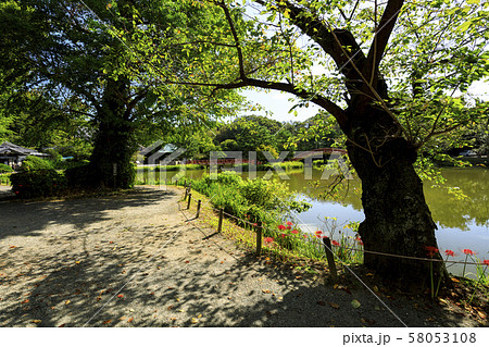 称名寺(秋) 称名寺(秋) 58053108