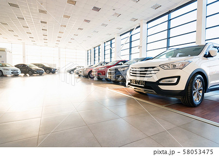 New cars at sunlit dealer showroom close view 58053475