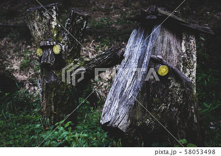 森の朽ちた妖精 58053498